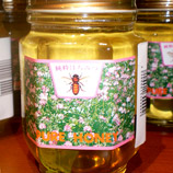 レンゲ蜂蜜（安土養蜂園）