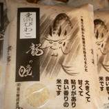 龍の瞳(生産者・込山和広)