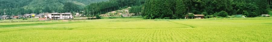 近江の特産品 うれしや